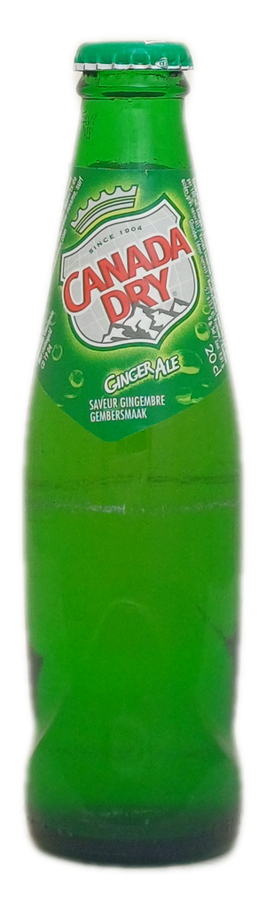 Canada Dry 20cl