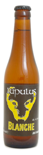 [LUPW3F] Lupulus Blanche 33cl