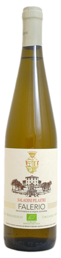 [WF] Wn. Falerio Saladini Pilastri 75cl